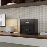 Steel Security Safe and Lock Box with Electronic Keypad - Secure Cash, Jewelry, ID Documents, Black, W396P278373