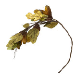 Set of 12, 49" Maple Leaf Spray Green Mustard, Botanicals Decor for Harvest Festival Fall Festival W2078P246464
