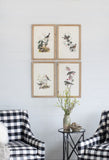 S/4 Bird Framed Print, 15.5x23.5" W2078P205314