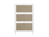 Rattan 3 Door Shoe Rack, Freestanding Modern Shoe Storage Cabinet, for Entryway W688P211259