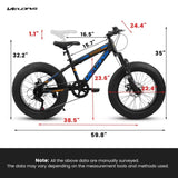 V20235 20 Inch Fat Tire Bike Adult 7 Speed Mountain Bike, Dual Disc Brakes, High Carbon Steel Frame, W709P285165