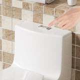 1.1/1.60 GPF Dual-Flush One Piece Toilet,Button on Tank top S-trap, Water-Saving Elongated Comfort W3192P277905