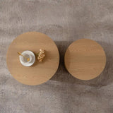 ZUN Nesting Coffee Table Set of 2 Round Wooden Coffee Tables Circle Modern Table for Small Space Living W3081P255158