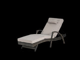 Outdoor Wicker Long Reclining Chair Set of 2 with Cushions, Wicker Reclining Lounge Chair Lawn W874P264727