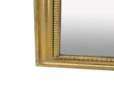 15.8" x 48.8" Full Length Mirror W2078P288165