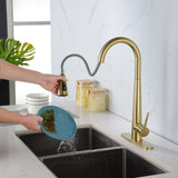 ZUN Gold Kitchen Faucets with Pull Down Sprayer, Kitchen Sink Faucet with Pull Out Sprayer,Fingerprint 93404954