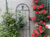Metal Garden Trellis, 2 Pack Metal Trellis for Climbing Plants, Indoor/Outdoor Plant Trellis for W840P321535