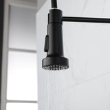 Kitchen Faucets Commercial Solid Brass Single Handle Single Lever Pull Down Sprayer SpringKitchen 44507686