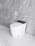 Elongated Smart Toilet with Elongated Heated Bidet Seat, Intelligent Toilet with Bidet Built-in, W2826P199068