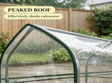 Clear Small 3-Tier Mini Greenhouse Portable Plant Greenhouse with 2 Roll-up Doors, 56.3" x 18.1" x 02090264
