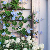 Flower Stand/Plant Stand 05630280