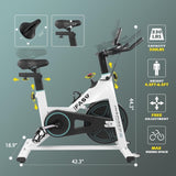 Exercise Bike 300LBS Weight Capacity 35LB Heavy Flywheel Indoor Stationary Bike with LCD Monitor for 23071013