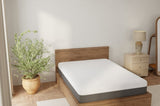Omne Fria 12 Inch Full Soft Mattress With Cooling Cover B047P316883