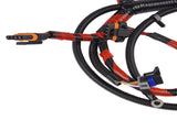 Engine Wiring Harness Replacement for 1994-1996 Ford F250 F350 F-Super Duty 7.3L F6TZ9A451F 52001501