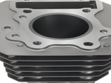 Cylinder Piston Top End Rebuild Kit for Honda TRX 300 Fourtrax FW 4x4 2x4 88-00 66278794