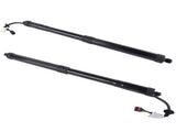 2PCS Rear LH / RH Trunk Power Lift Support Fit for Nissan Pathfinder Platinum Hybrid S SL SL Hybrid 66489866