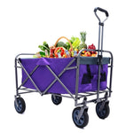 ZUN Outdoor Garden Multipurpose Micro Collapsible Beach Trolley Cart Camping Folding Wagon W321P206628