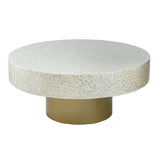 ZUN 35x35x16" Unique Cream Capiz Coffee Table with Gold Pedestal Base W2078P154260