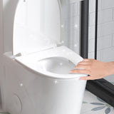 1.1/1.6 GPF Dual Flush One-Piece Toilet, Button on Tank top S-trap 12 inches, Elongated Bowl with W3192P272957
