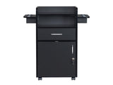 Beauty Salon Trolley Cart, Salon Cabinet with 360&deg Wheels, 6 Tool Holders, 1 Drawer, Salon 91669942