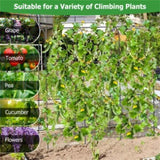 71" x 71" Garden Arched Trellis 23961450