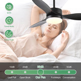 52 inch Indoor/Outdoor Ceiling Fan with LED Select Light Kit - Black 22880690