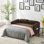 ZUN Double seat sofa bed sofa with pull-out bed, adjustable backrest with 2 lumbar pillows for small 40758871