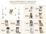 Dog agility training equipment 40236129