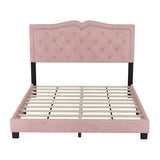 Queen Size Upholstered Bed Frame with Rivet Design, Modern Velvet Platform Bed with Tufted WF316750AAH