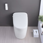 ZUN Smart Toilet Bidet Combo with Self-Cleaning Nozzle, Heated Seat, Night Light, Knob Control, Power W1219P262872