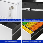 ZUN 2 Drawer Mobile File Cabinet with Lock Steel File Cabinet for Legal/Letter/A4/F4 Size, Fully W252125346