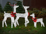 3-Piece Lighted Christmas Reindeer Family Set Outdoor Decorations, Weather Proof 2D Deer Family Set 16055892