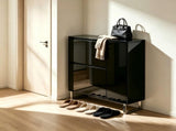 () 2-Drawer Flip-Up 1 Side Door with Bottom Lighting Shoe 22408430