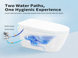 Tankless Smart Toilet With Bidet Built In, One-piece Bidet Toilet Seat, Auto Flush,Heated Seat, Warm T5879P506526
