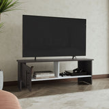 Navia 47" Wide Tv Stand with One Door Cabinet and Open Shelf for Living Room, Entertainment Center B070P286460