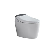 ZUN Smart Toilet with Bidet Built in, Smart Bidet Toilet Seat with AUTO Open&Close and Remote Control, 10659256