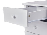 Foldable Manicure Table with Electric Dust Collector, Lockable Wheels, Wrist Cushion, Drawers & 05935008