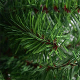 2 Feet Tabletop Unlit Christmas Tree 30867818