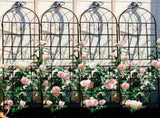4 Pack Metal Garden Trellis 71" x 19.7" Rustproof Trellis for Climbing Plants Outdoor Flower Support W158681061