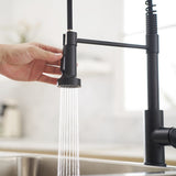 Commercial Black Kitchen with Pull Out Sprayer, Single Handle Single Lever Kitchen Sink W1932P172331