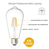 Edison Bulb LED Light Vintage Style Lighting Filament Lamp E26 Warm white 6Pack 12915650