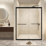 50-54" W 72" H Tempered Glass with Explosion Proof Film, Aluminum Frame Double Sliding Shower W1675P288812
