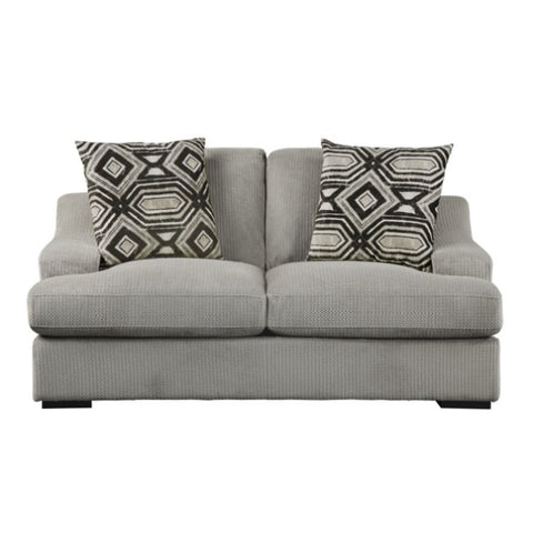 ZUN Modern Traditional Luxury Living Room Loveseat 1pc Light Gray Plush Microfiber Upholstery 2 Pillows B011P183634