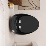1-Piece 1.28 GPF Single Flush Egg Shape Toilet in Glossy Black W2973P301480