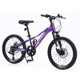 ZUN Mountain Bike for Girls and Boys Mountain 20 inch shimano 7-Speed bike W101984859