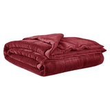 Reversible HeiQ Smart Temperature Down Alternative Blanket B03598536
