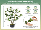 2 Pack White Artificial Camellia Tree with Blooming Flower 75346222