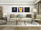Shirt Display Frame With UV Resistant Acrylic and Hanger, Wall Mounted Baseball Basketball Football 61708878