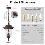 Rustic Outdoor Hanging Lantern, Weatherproof Vintage Pendant Light with Clear Glass Shade, W1340P209948