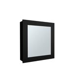 Payson Medicine Cabinet in Melamine With Included Mirror, Black B128P237155